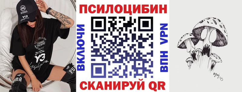 мега ТОР  Кирсанов  Галлюциногенные грибы мицелий 